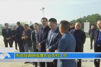 市领导调研临澧农业农村工作