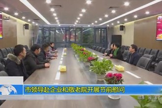 市领导赴企业和敬老院开展节前慰问