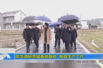 陈华调研鼎城春耕备耕、粮食生产工作
