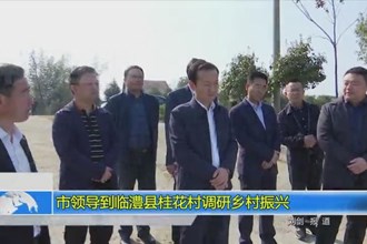 市领导到临澧县桂花村调研乡村振兴