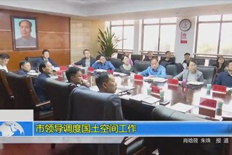 市领导调度国土空间工作