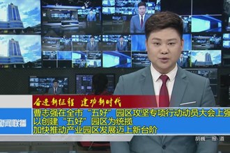 曹志强在全市