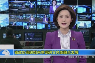 省政协调研组来常德调研文体旅融合发展