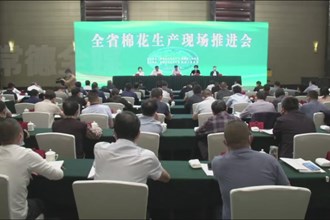 全省棉花生产现场推进会在澧县召开 把稳定棉花生产作为重要任务部署落实