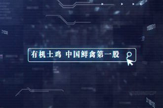 【桃花源里的品牌故事五】一只拥有