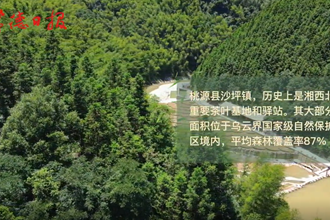 【乡村振兴沅澧行】你好，网红村