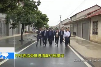 市纪委监委推进清廉村居建设