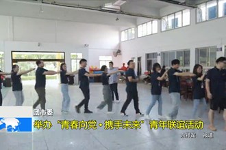 团市委：举办“青春向党•携手未来”青年联谊活动