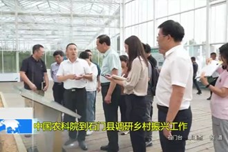 中国农科院到石门县调研乡村振兴工作