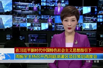 周振宇主持召开西洞庭湖灌区项目策划调度会