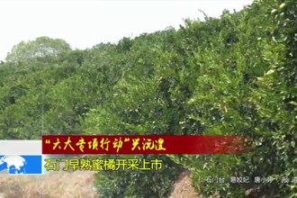 “六大专项行动”兴沅澧(10.10)