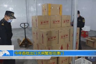 今年首批出口大闸蟹发往澳门