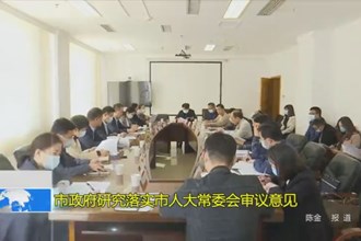 十大彩票网赌平台政府研究落实市人大常委会审议意见