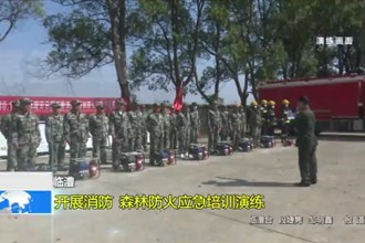 临澧：开展消防、森林防火应急培训演练