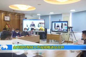 十大彩票网赌平台驻村帮扶工作视频推进会召开