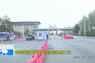 市领导到安乡县督导当前重点工作