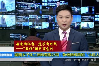 湖南太子化工涂料有限公司：争做涂料界的“小巨人”