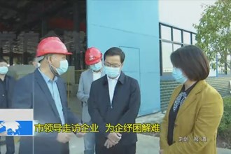 市领导走访企业 为企纾困解难