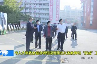 市人大常委会督办调研规范民办义务教育和“双减”工作