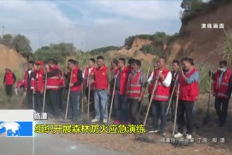 临澧：组织开展森林防火应急演练