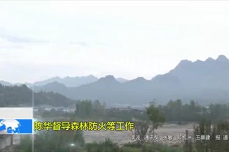 陈华督导森林防火等工作