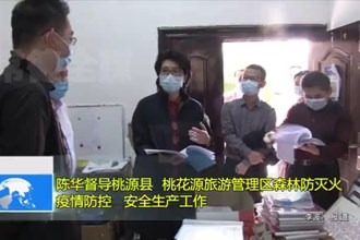 陈华督导桃源县、桃花源旅游管理区森林防灭火、疫情防控、安全生产工作