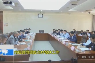 市级领导调度点村帮扶工作