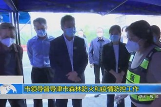 市领导督导津市森林防火和疫情防控工作