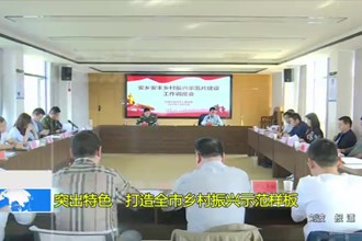 突出特色 打造全市乡村振兴示范样板