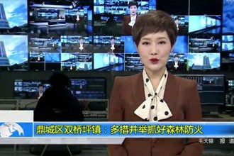 鼎城区双桥坪镇：多措并举抓好森林防火