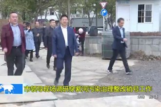 市领导现场调研穿紫河污染治理整改销号工作