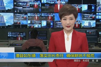 澧县如东镇：落实田长责任 确保耕地不抛荒