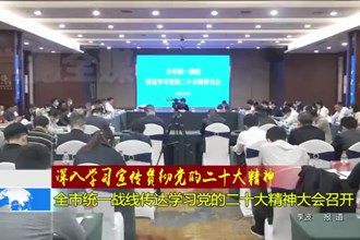 深入学习宣传贯彻党的二十大精神(11.1)