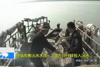 鼎城：持续改善沅水水质 170万只仔蚌投入沅水