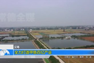 汉寿：全力打造甲鱼百亿产业