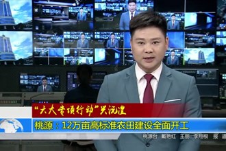 桃源：12万亩高标准农田建设全面开工