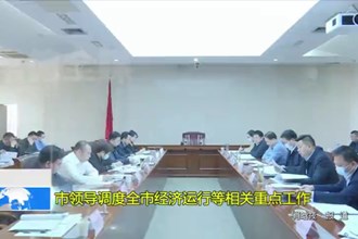市领导调度全市经济运行等相关重点工作