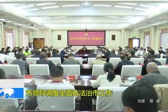 市领导调度全面依法治市工作
