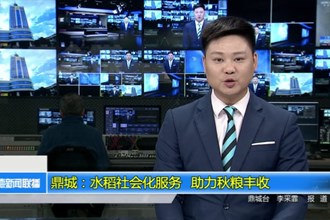 鼎城：水稻社会化服务 助力秋粮丰收