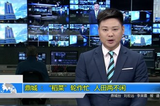 鼎城 ：“稻菜”轮作忙 人田两不闲