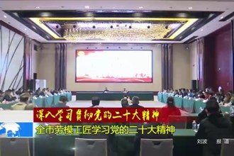 深入学习宣传贯彻党的二十大精神(11.8)