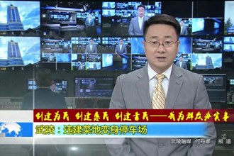 武陵：违建菜地变身停车场