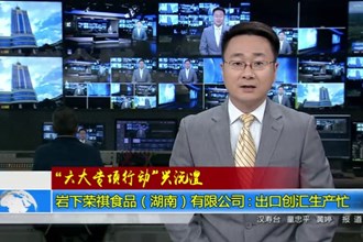 岩下荣祺食品（湖南）有限公司：出口创汇生产忙 乡村振兴竞风流