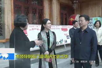 市领导到石门县调研文史工作