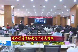 深入学习宣传贯彻党的二十大精神(11.10)