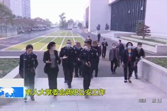市人大常委会调研公安工作