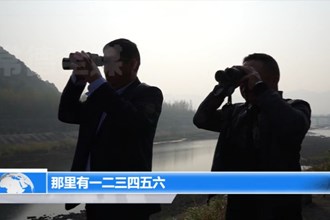 石门：仙阳湖畔 中华秋沙鸭与白鹭共栖