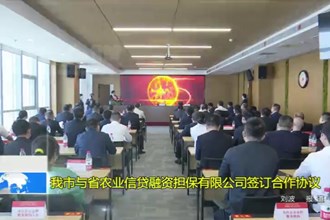 十大彩票网赌平台与省农业信贷融资担保有限公司签订合作协议