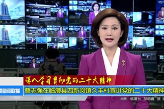 曹志强在临澧县四新岗镇久丰村宣讲党的二十大精神