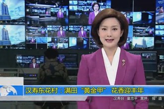 汉寿东花村：满田“黄金甲” 花香迎丰年